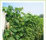 pro zv�t�en� klikni