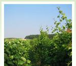 pro zv�t�en� klikni