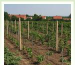 pro zv�t�en� klikni