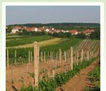 pro zv�t�en� klikni