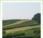 pro zv�t�en� klikni