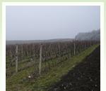 pro zv�t�en� klikni