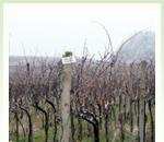 pro zv�t�en� klikni