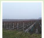 pro zv�t�en� klikni