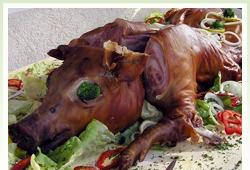 informace o doplkovch slubch - ilustran foto