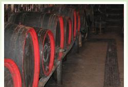 informace o vinn�m skl�pku - ilustra�n� foto